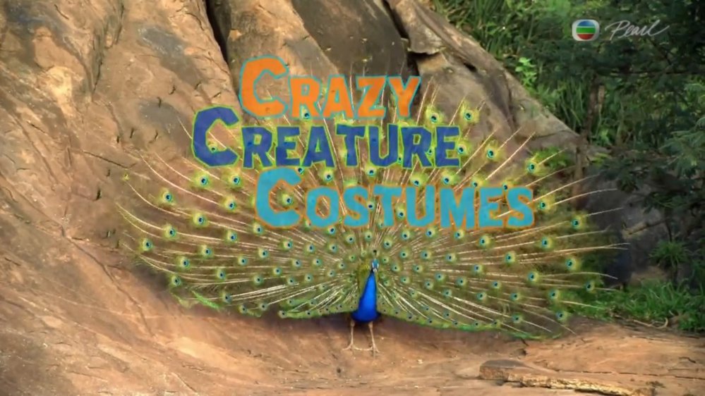 crazy-creatures-1.jpg