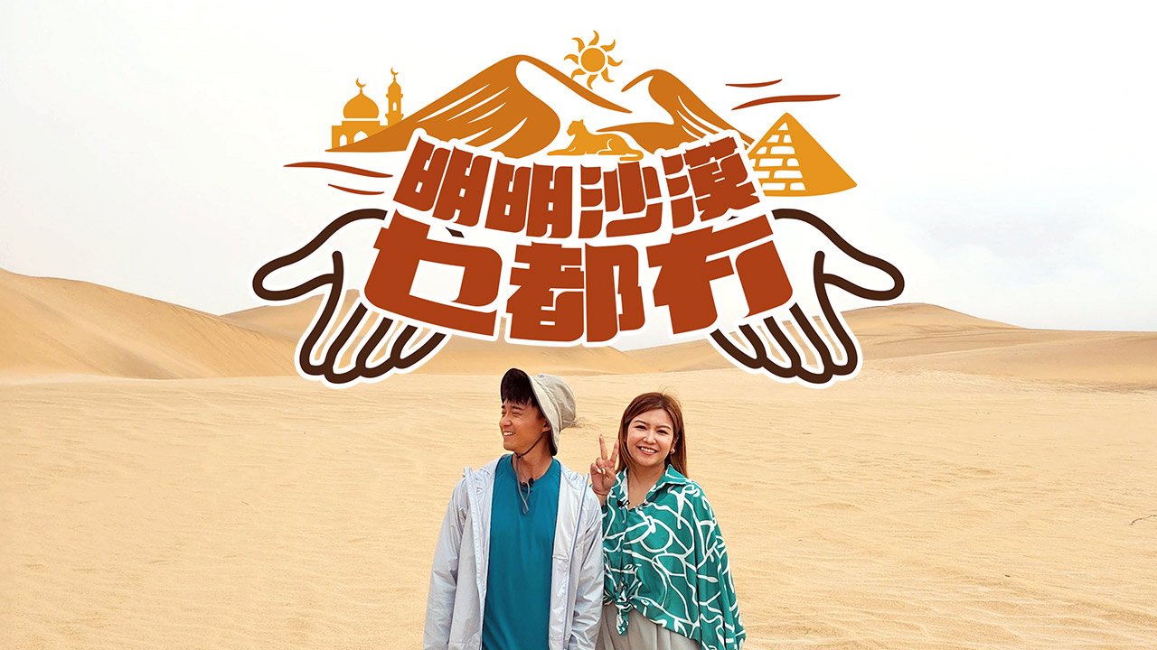 The Handy Sandy Guide.jpg